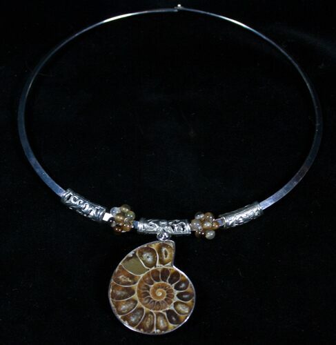 Fossil Ammonite Choker #3367